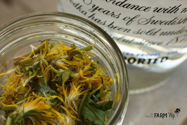 jar of dandelions beside a closeup of a bottle of vodka for turning into tincture