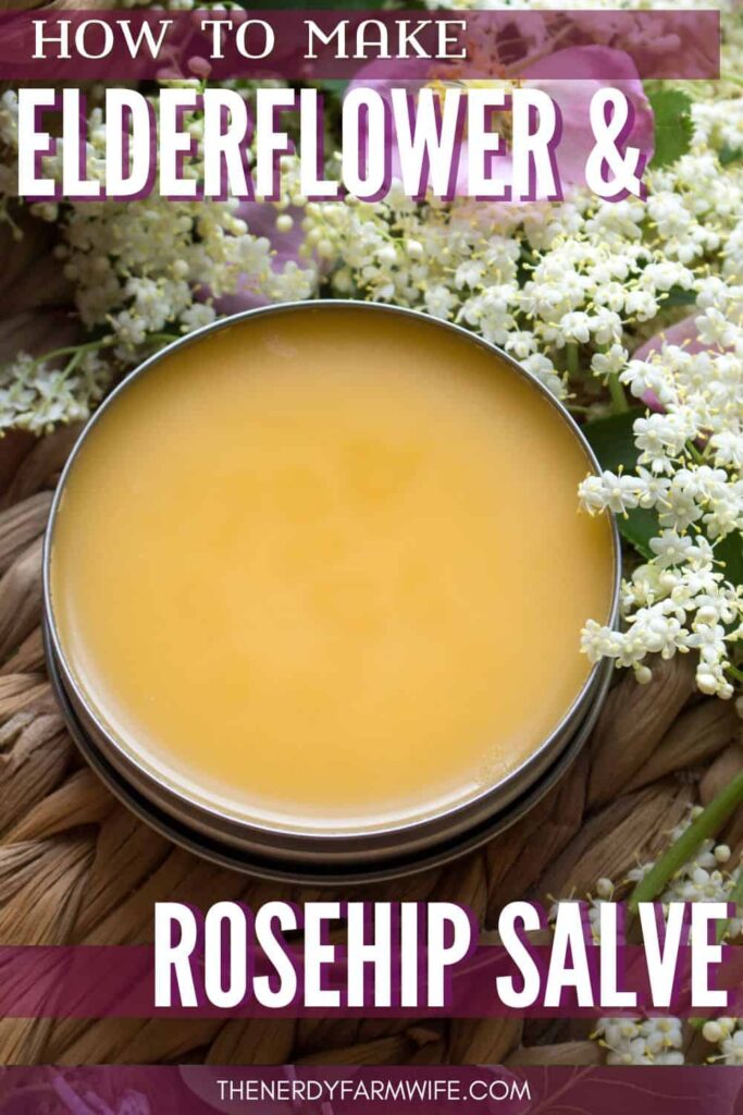 a tin of nourishing salve made with elderflowers and rosehip seed oil