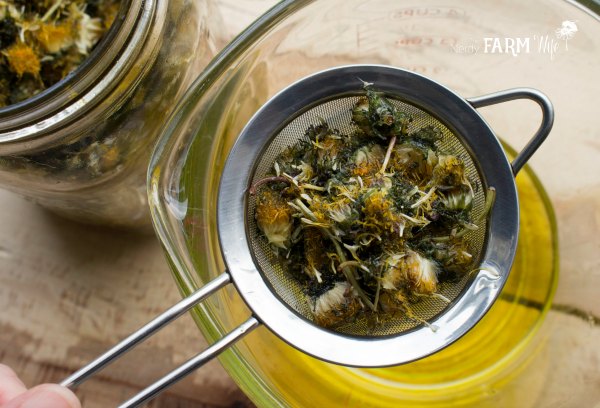 Straining Dandelion Infused Oil