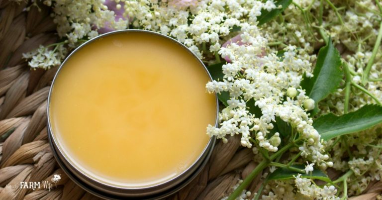 Elderflower & Rosehip Salve