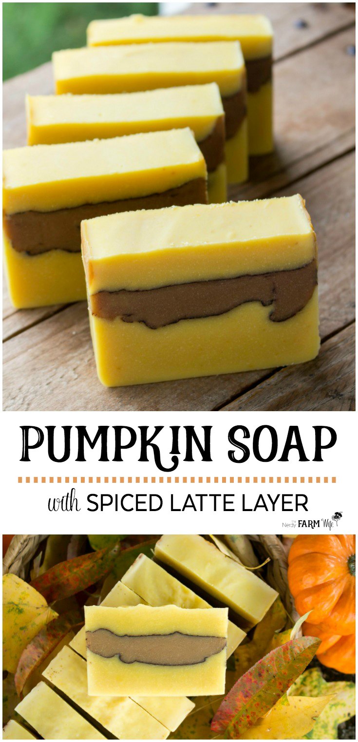 Pumpkin & Cinnamon Cold Process Soap – Lovin Soap Studio