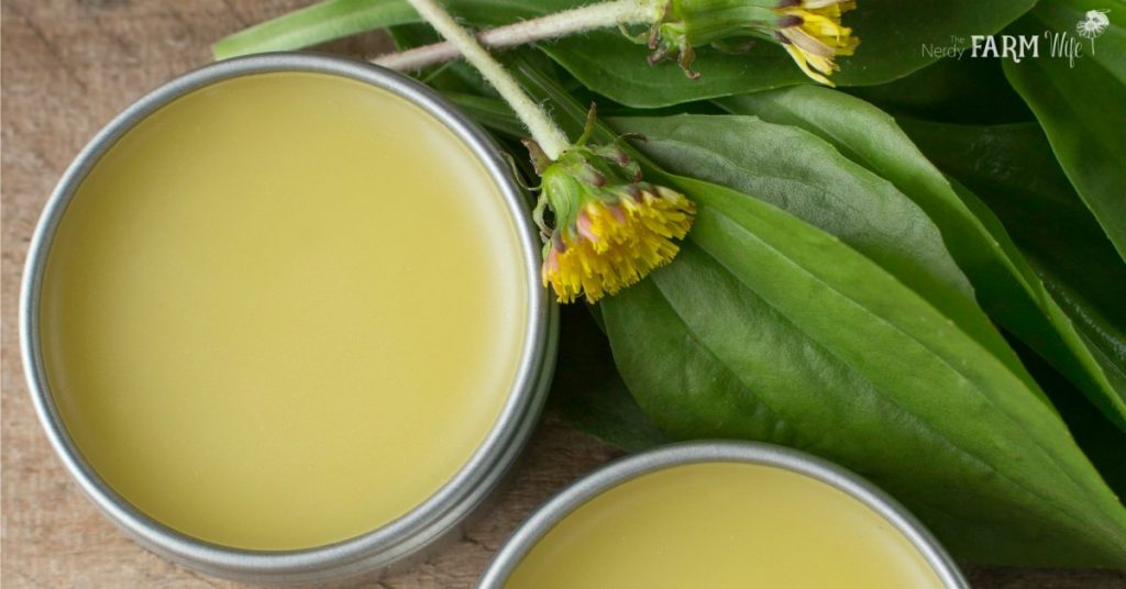 7 Chapped Lip Treatments