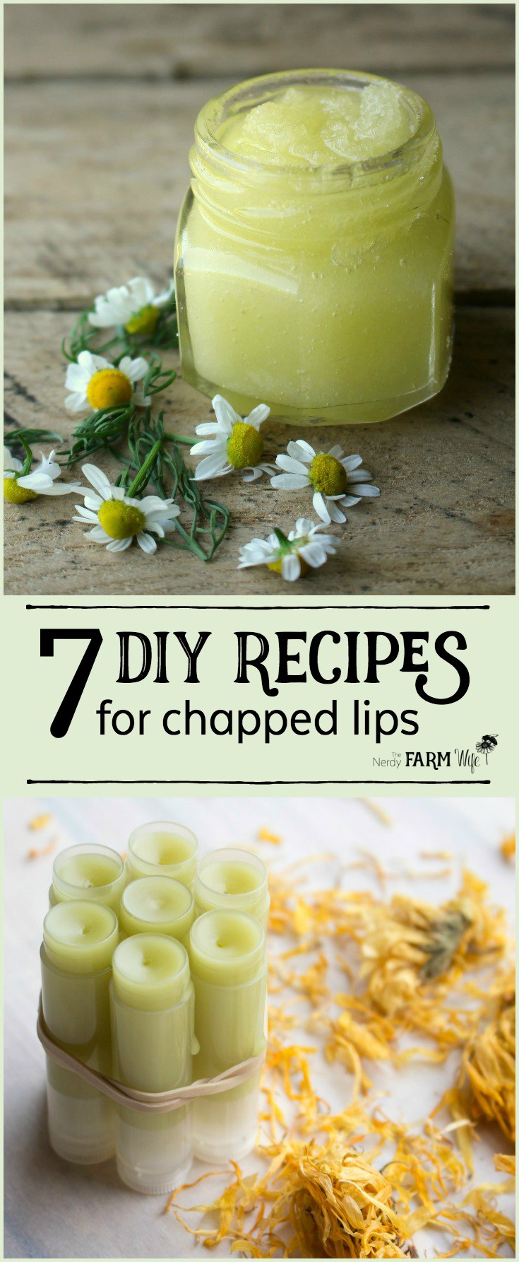 If you  worry from dry chapped lips,  intend mean these 7 DIY  