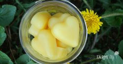How to Make Dandelion Lotion Bars