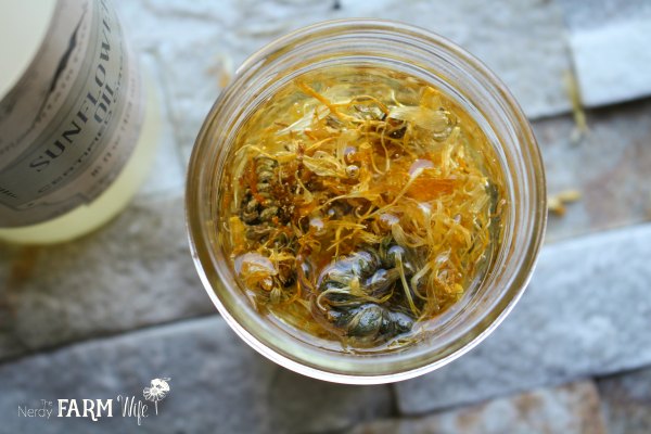 Calendula flowers infusing in sunflower oil