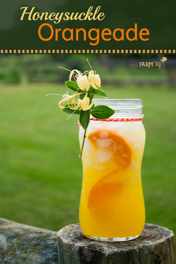 Honeysuckle Orangeade is a naturally sweetened, kid-friendly, and refreshing summer drink recipe with the added health benefits of honeysuckle herbal tea. 