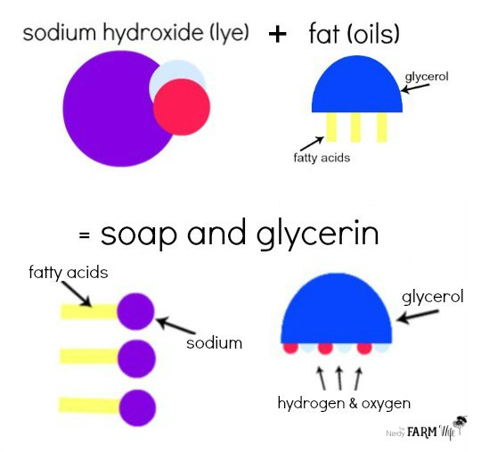 a graphic showing how lye and oils transform into soap