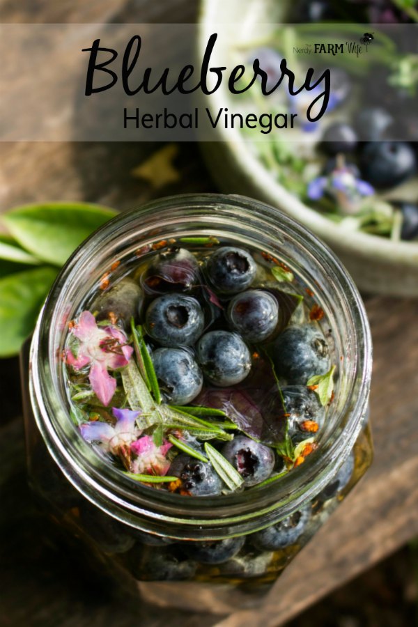 A jar of blueberries and herbs in vinegar