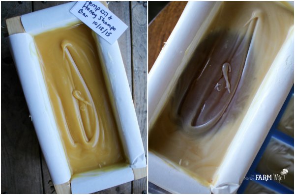 hemp and honey shampoo bar before and during gel phase