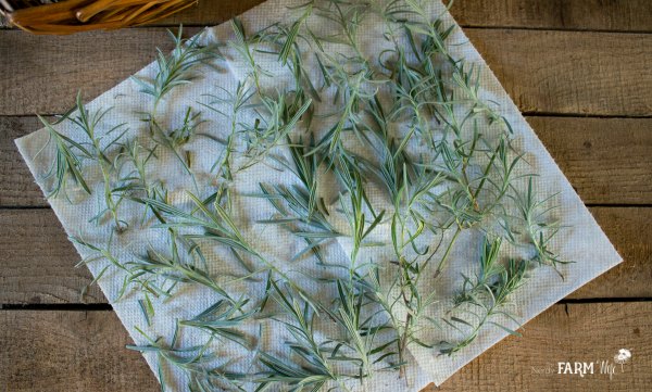 drying lavender leaves on a paper towel