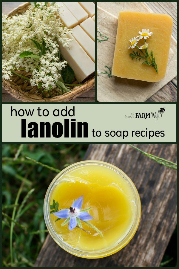 a jar of lanolin and lanolin soap