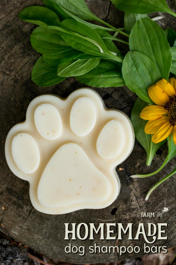 Homemade Dog Shampoo Bars Recipe with neem oil