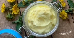 dandelion infused whipped coconut oil