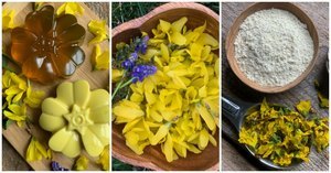 forsythia flowers, soap, and cleansing grains
