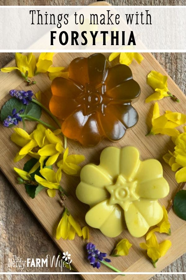 Melt and pour soaps naturally colored with forsythia flowers