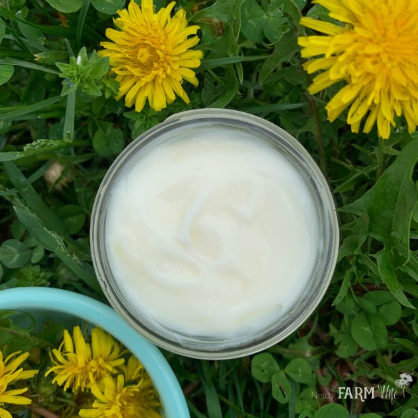 jar of dandelion magnesium lotion in grassy with fresh dandelion flowers in a turquoise bowl