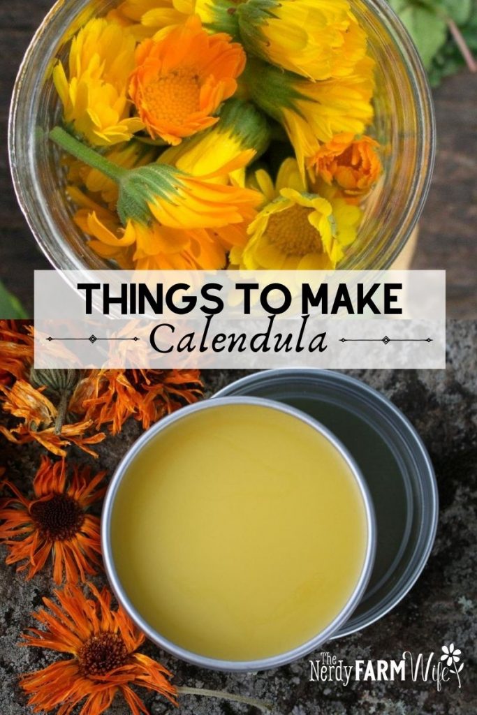 Whole, Dried Calendula Flowers