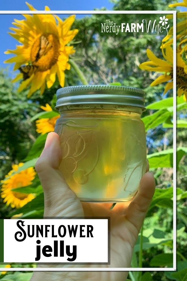 woman's hand holding jar of jelly in front of sunflowers