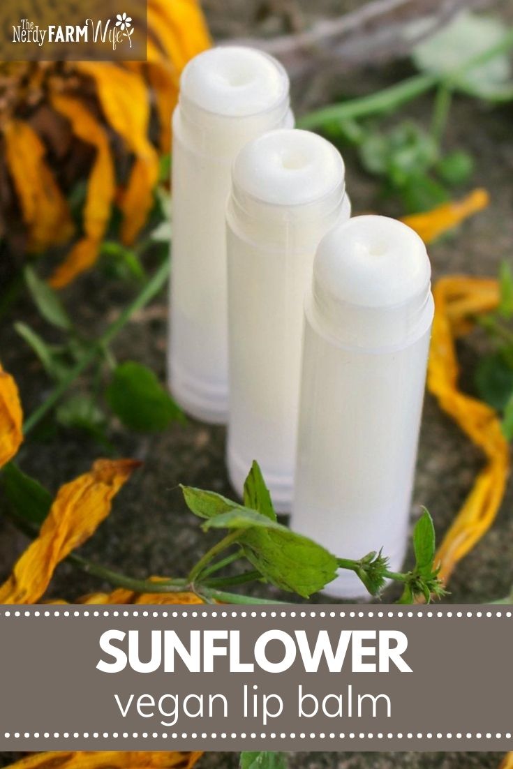 Sunflower Lip Balm (Using Vegan Sunflower Wax)