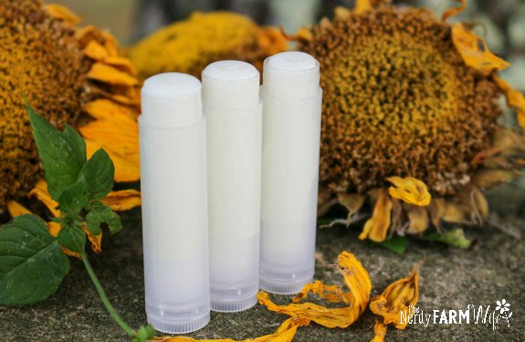 tubes of lip balm surrounded by dried sunflowers