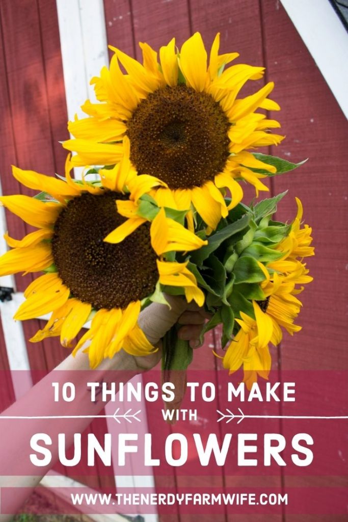 woman's hand holding bunch of sunflowers in front of a barn