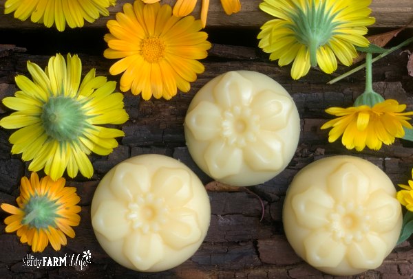 lotion bars on a wooden board surrounded by fresh calendula flowers