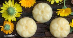 lotion bars on wooden board with fresh calendula flowers