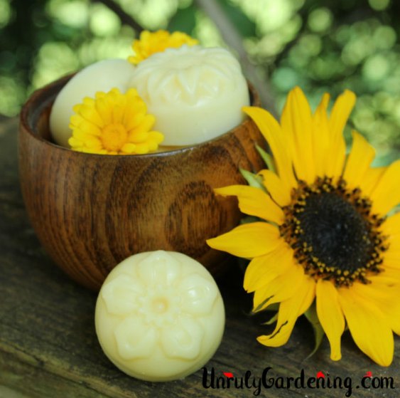 small lotion bars in a wooden bowl with sunflower
