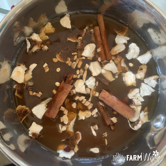 small saucepan with apple cider, cinnamon sticks, astragalus root, turkey tail mushroom, and cloves