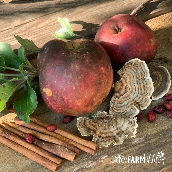 apples, cinnamon sticks, turkey tail mushroom, spicebush berries on a wooden board