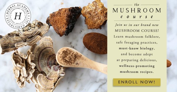 advertisement for The Mushroom Course at the Herbal Academy