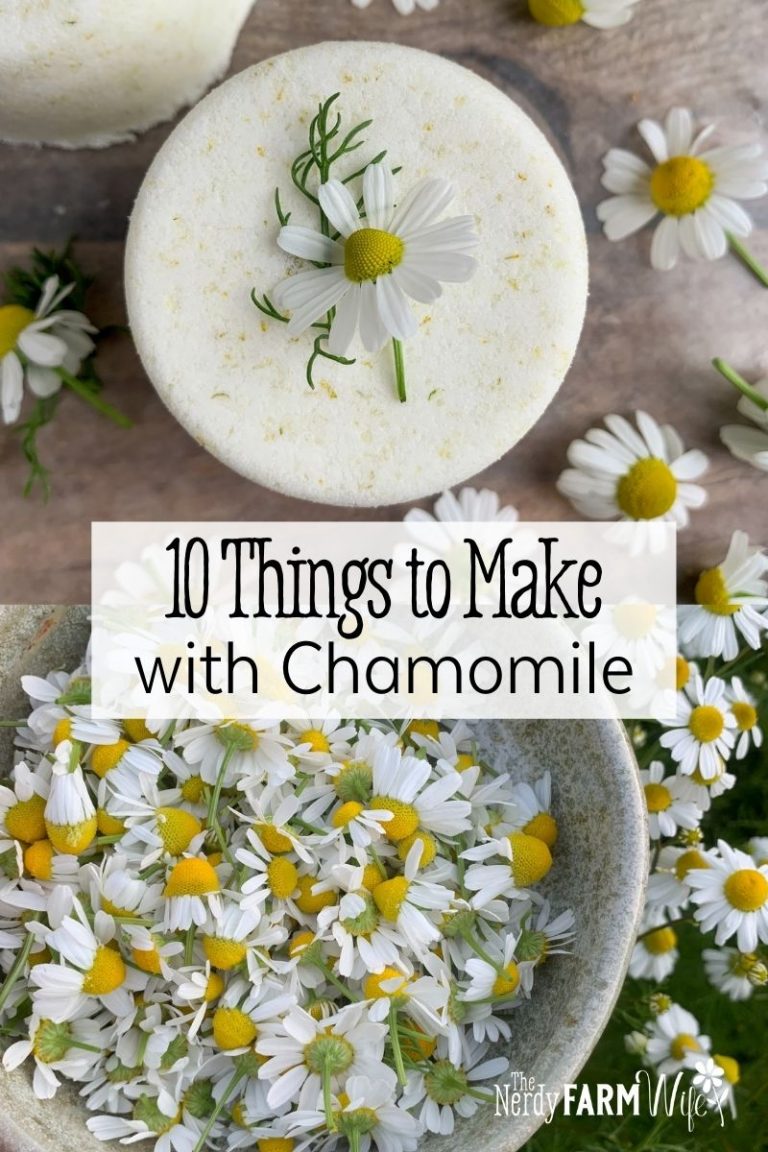 10 Things to Make with Chamomile