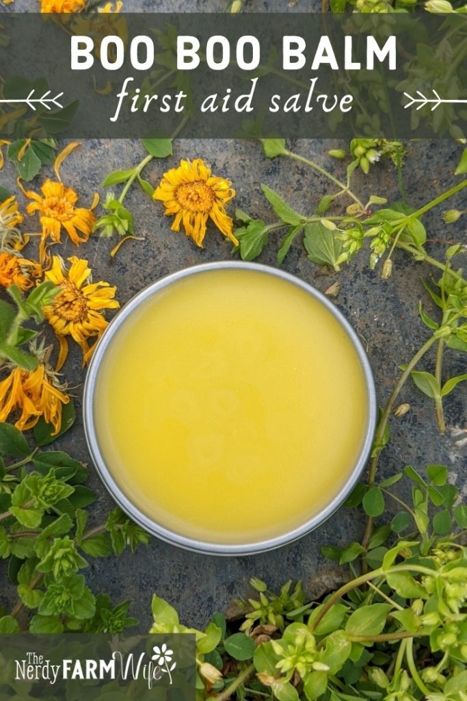 tin of salve surrounded by herbs