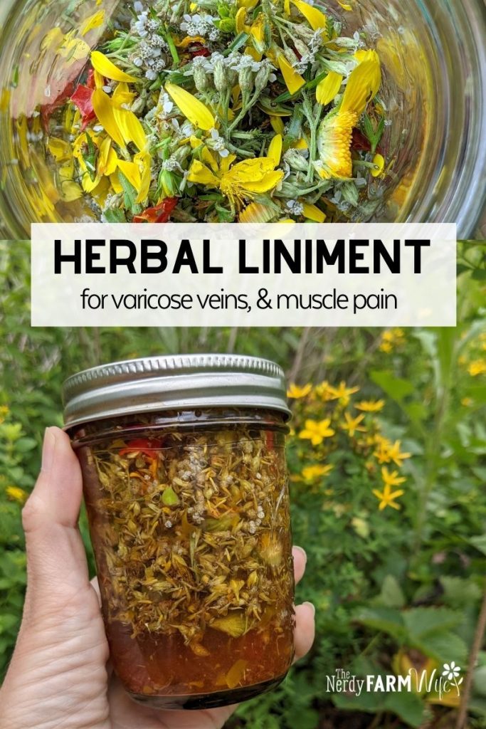 jar of liniment containing chopped herbs