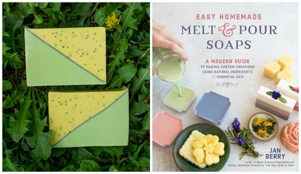 bars of soap beside cover of Easy Homemade Melt & Pour Soaps book