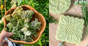 wooden bowl with fresh yarrow flowers, bar of yarrow soap on bamboo board