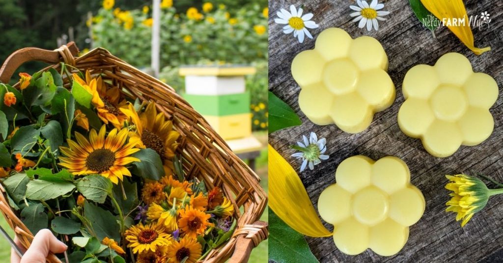 basket of sunflowers and calendula beside flower shaped lotion bars