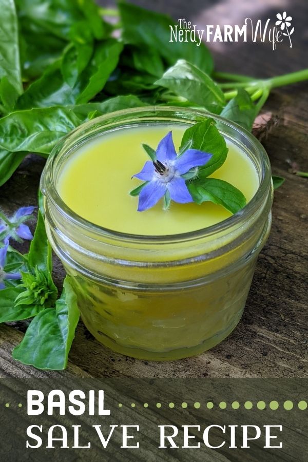 jar of salve surrounded by fresh basil leaves and borage flowers