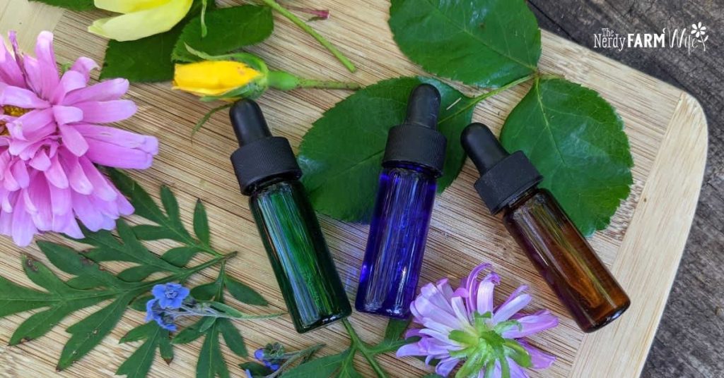 essential oil bottles surrounded by fresh flowers and leaves