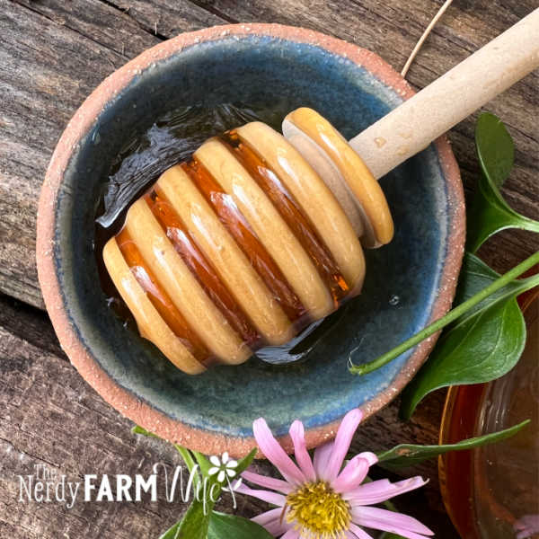 small pottery dish and wooden honey spoon covered with honey