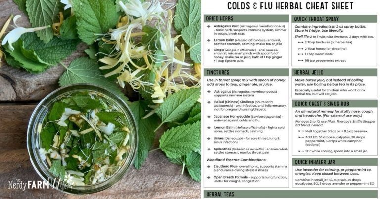 Colds & Flu Cheat Sheet – Natural Remedies
