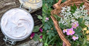 basket of wild roses and jar of homemade whipped rose body butter