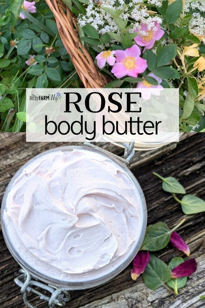 basket of wild roses and jar of homemade whipped rose body butter