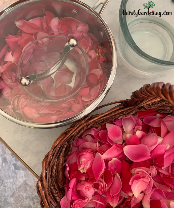 basket of fresh rose petals being turned into rose water