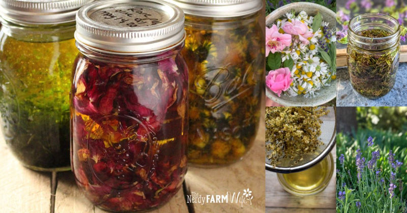 assortment of infused oils and flowers