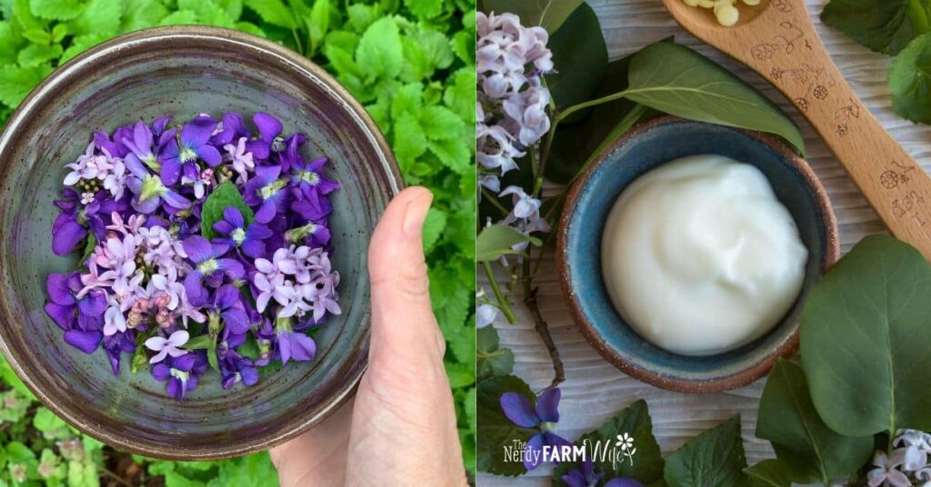 fresh violets and lilac flowers with DIY lavender, lilac, violet face cream