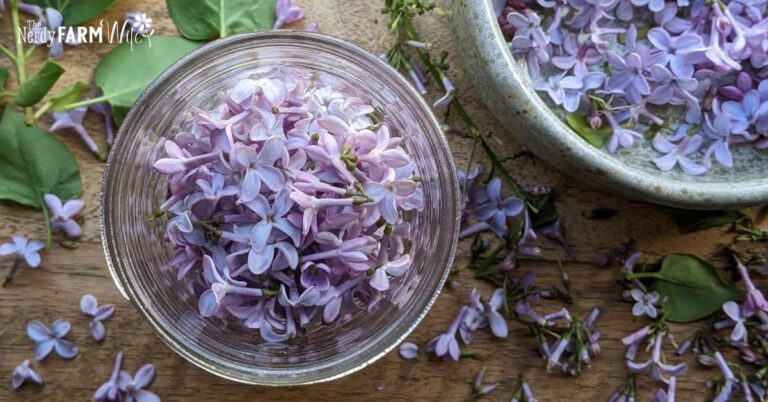a jar and bowl containing fresh lilacs