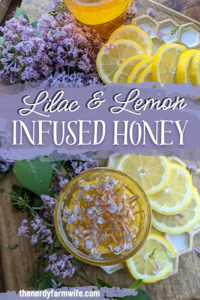 a jar with fresh lilac flowers, lemon slices, and honey used to make lilac infused honey