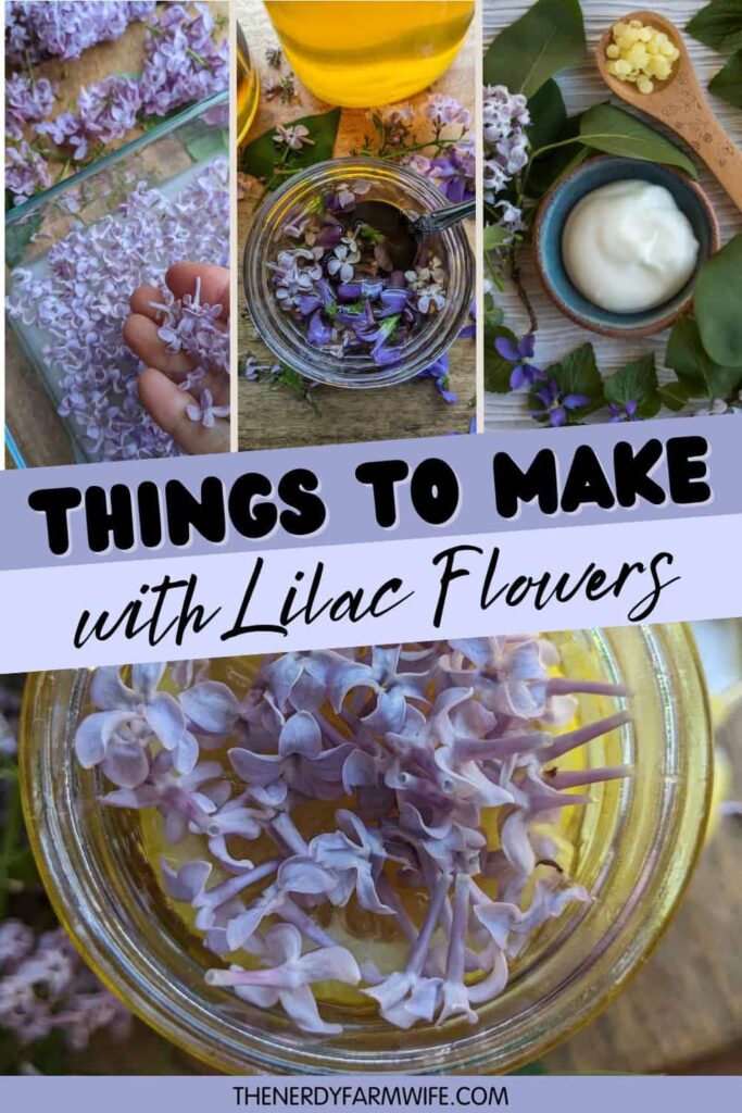 jars of lilac flower projects such as tincture and lemon honey