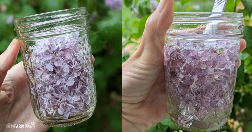 jar with lilac flowers, and a jar with unstrained lilac toner